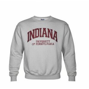 Vintage Indiana University of Pennsylvania IUP Sweatshirt Gray XL Made USA B27